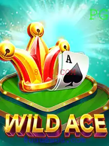 Descubra WildAce: Um Mergulho no Mundo Empolgante do Jogo